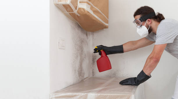 Professional Crawl Space Mold Removal technician working in Dallastown, PA